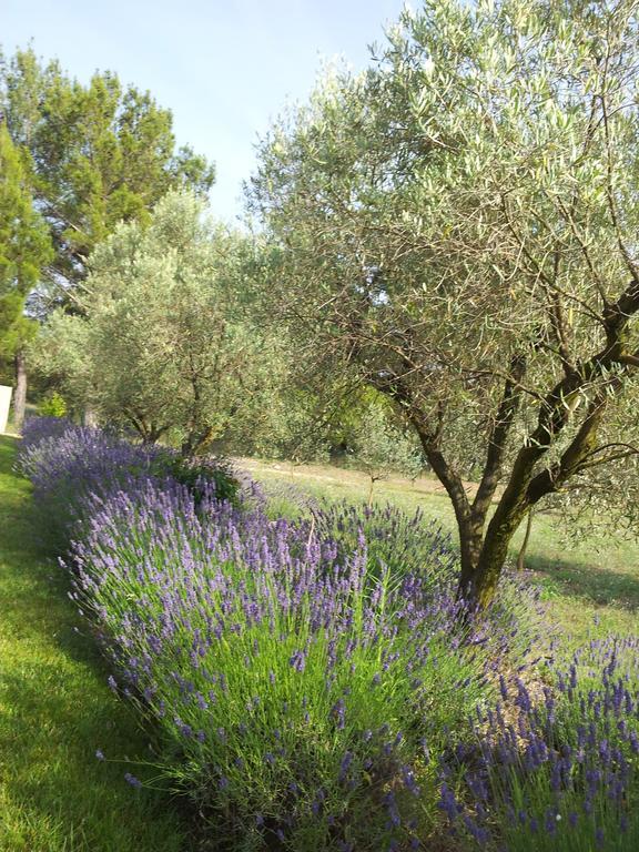 L'Amanderaie Piscine Privee A Cote De Lourmarin Luberon Apartment Cadenet Ruang foto